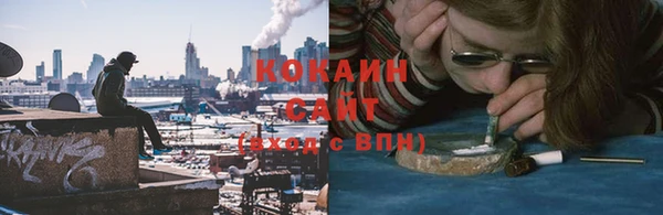 apvp Алзамай